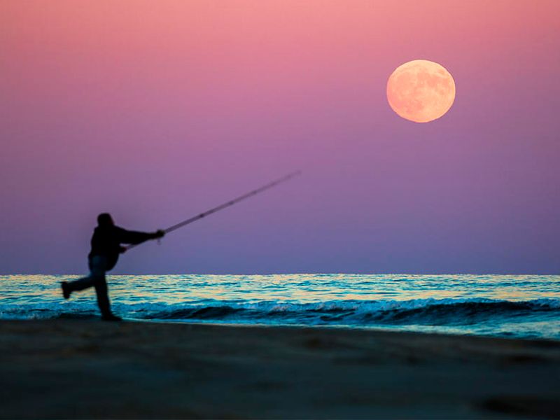 la pesca y la luna